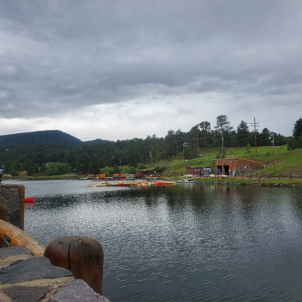 Meet your Posher, Alexis